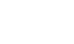 Partner University