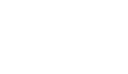 Partner University