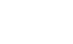 Partner University